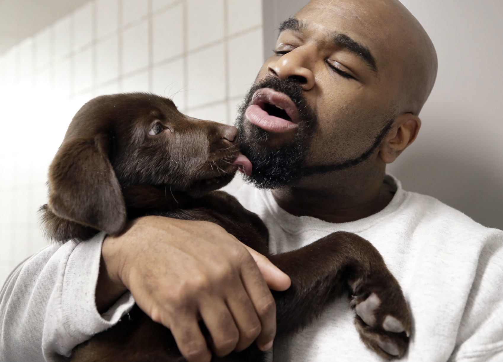 Puppy